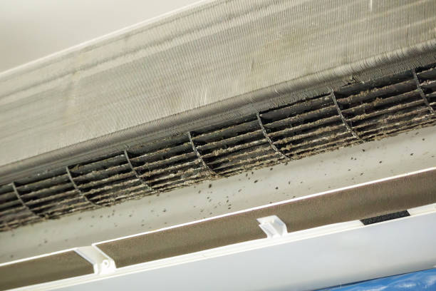 Best Home Air Vent Cleaning  in Nashville, MI